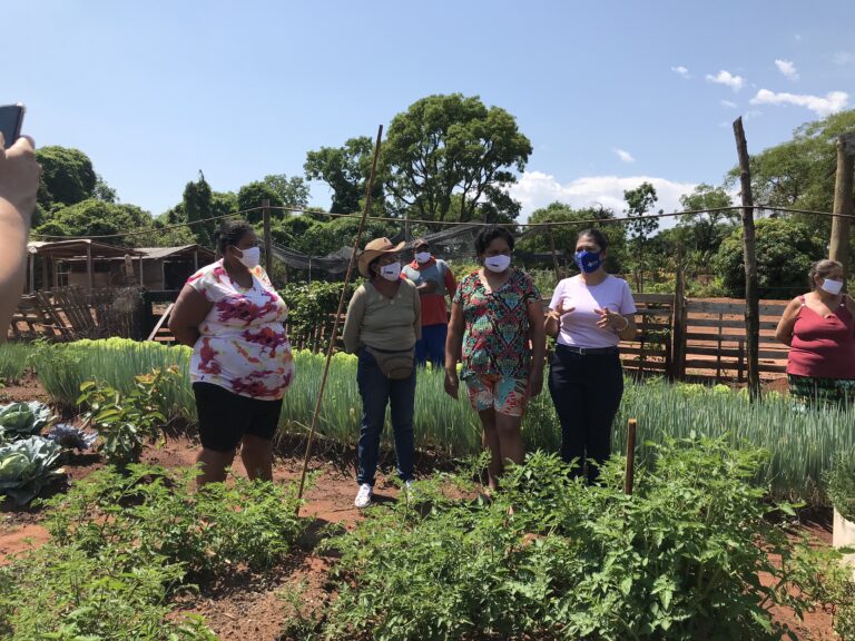 Horta Orgânica da Aldeia Água Bonita