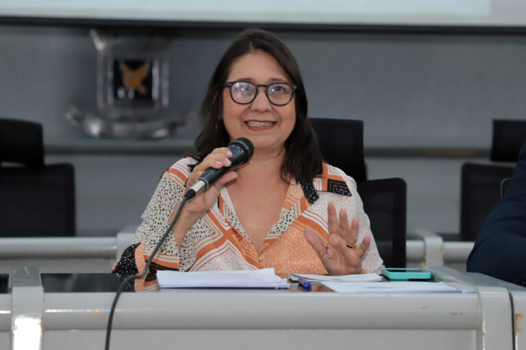 Audiência Pública: Segurança de Pessoas em Situação de Rua