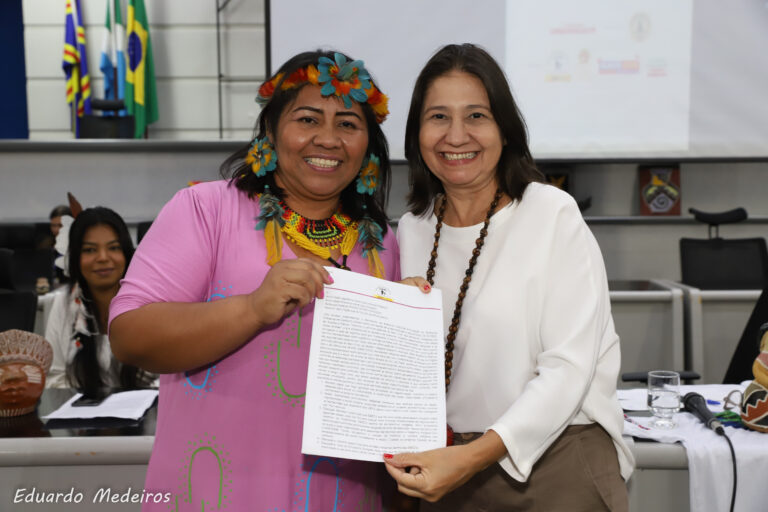 Audiência: Direitos e Políticas Públicas para Mulheres Indígenas