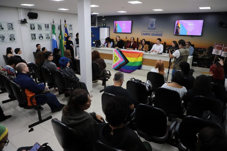 Luiza Ribeiro conduz audiência pública e reúne propostas para fortalecer direitos da população LGBTQIAPN+