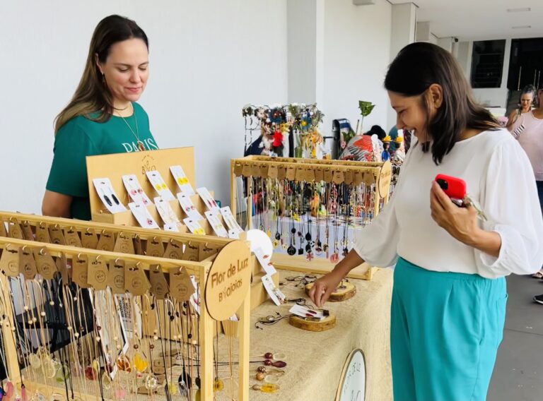 Empreendedorismo feminino ganha espaço permanente na Câmara com aprovação de projeto de Luiza Ribeiro