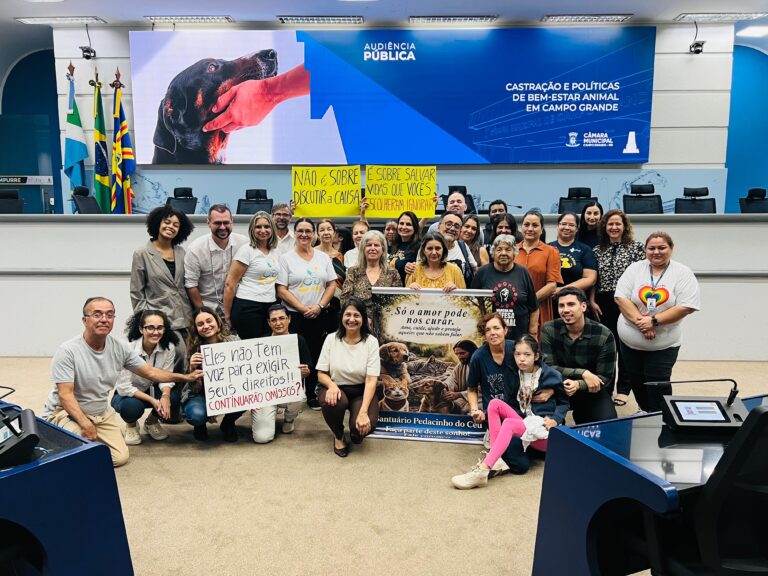Audiência proposta por Luiza Ribeiro cobra cumprimento da lei de castrações e expõe dificuldades enfrentadas  por protetores em Campo Grande
