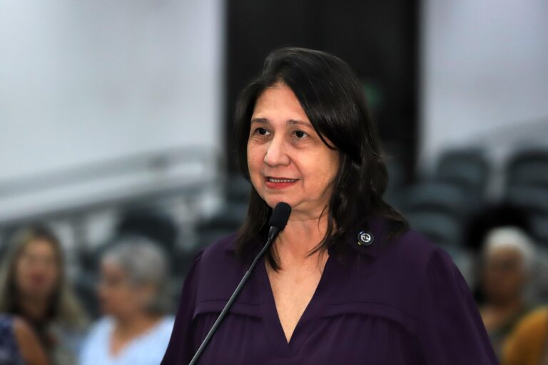 Requerimento para criação da CPI do Tapa-Buraco chega a nove assinaturas e vereadora Luiza busca décima adesão