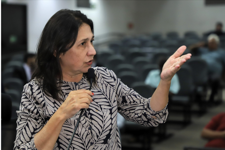 CPI do Tapa-Buraco proposta pela vereadora Luiza avança na Câmara com sete assinaturas