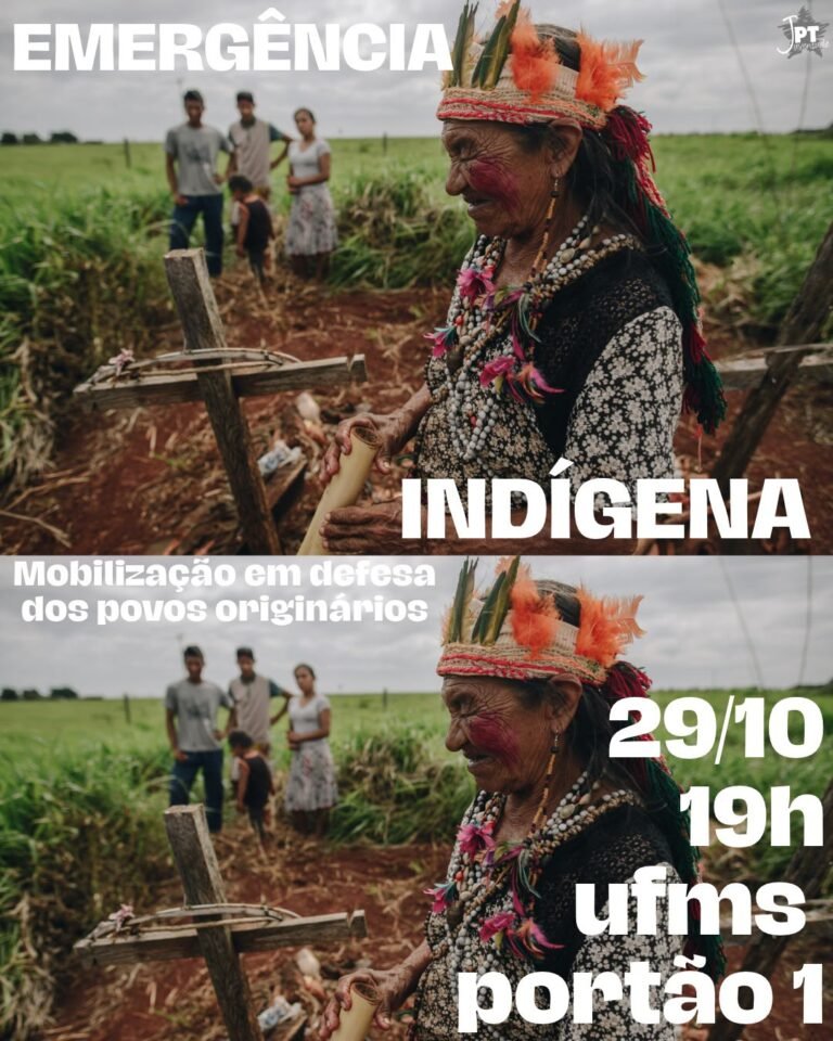 EMERGÊNCIA INDÍGENA